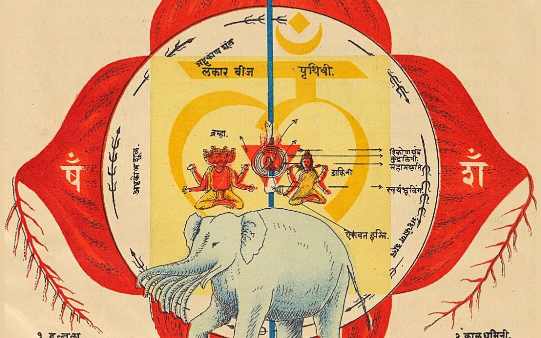Die Kraft deiner Wurzel – Muladhara Chakra